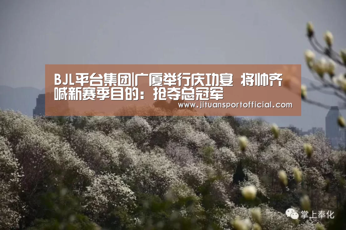 BJL平台集团